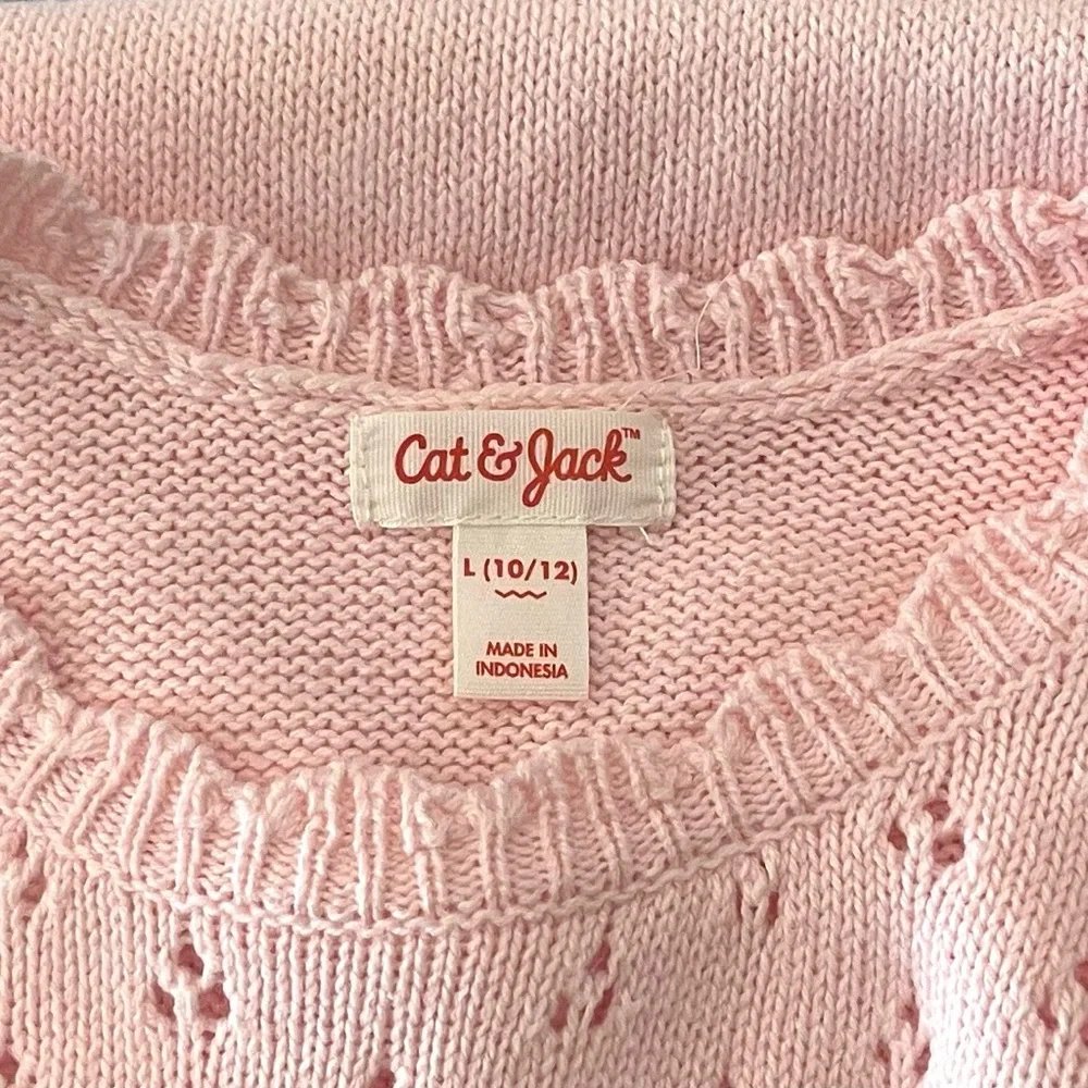 Light Pink Sweater (10-12) Sweater Dress & Earrings
